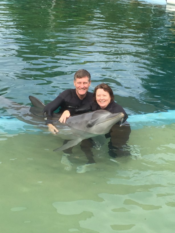 Playing in the pool with the dolphin