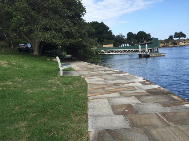 Looking towards Dawn Fraser Pool. Beautiful fig leaning into the water.