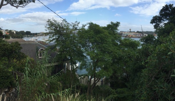 Looking across towards Cockatoo Island from Birchgrove