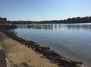 Mortlake Point, Hilly Street, Mortlake