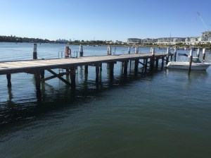 City views from Mortlake Point