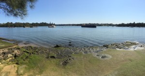 Looking back across to Mortlake