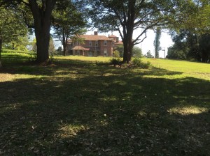 In the extensive grounds of Dame Edith Walker Hospital