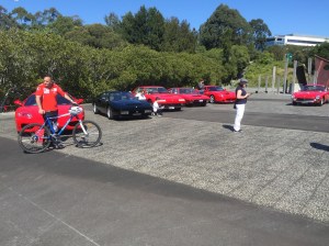 Ferrari owners club day at Brays Bay Reserve