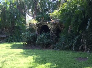 In the extensive grounds of Dame Edith Walker Hospital